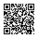 John Wick Chapter 3 Parabellum 2019 1080p BluRay Hindi English x264 AC3 MSubs - LOKiHD - Telly的二维码