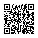 16[131129][ZIZ]対魔忍ユキカゼ ＃01 ユキカゼ編(DVD 720x480 h264 AAC).mp4的二维码