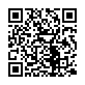 [MSRSub] Seitokai Yakuindomo 2 - 19 OAD [GB][576P]的二维码