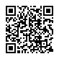 [DefinitelyNotMe] Gintama S4 - 11 VOSTFR [1080p].mkv的二维码