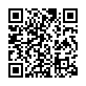 BoBoiBoy.Movie.2.2020.1080p.NF.WEBRip.DDP5.1.x264-CM的二维码