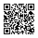 www.9xflix.com - John Wick Chapter 3 Parabellum 2019 Dual Audio ORG Hindi 720p BluRay.mkv的二维码