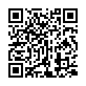 [BBsee]《锵锵三人行》2007年11月30日 陈丹青：艺术抛弃“官样文章”的二维码