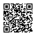 Aphex Twin - #19 (2024) [24Bit-44.1kHz] FLAC [PMEDIA] ⭐️的二维码