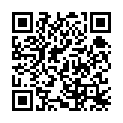 [BBsee]《锵锵三人行》2007年12月06日 美国人比中国人更怕警察？的二维码