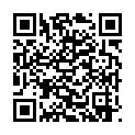 Fullmetal Alchemist Brotherhood - 11 (1440x1080 x264 Cantonese AC3 + Japanese AAC).mkv的二维码