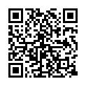 Sarrainodu (2016) 720p HDRIp Hindi-Dubbed x264 DD2.0 ORG 1GB [DICT].mkv的二维码