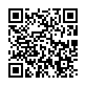 [HnY] Beyblade Burst GT 12 (1280x720 x264 AAC) [C1DE9CB9].mkv的二维码