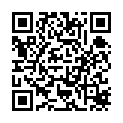 [Ohys-Raws] Tetsuwan Birdy Decode - 12 (AT-X 1280x720 x264 AAC).mp4的二维码