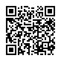 [DMG][Seitokai Yakuindomo2][10][720P][GB].mp4的二维码