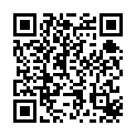 Snowpiercer 2020 S01E09-E10 720p NF WEBRip Hindi English x264 AAC 5.1 MSubs - LOKiHD - Telly的二维码